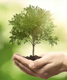 Get Insured & Blog To Insurance Service