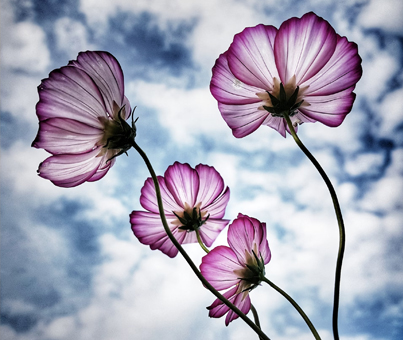 Blog